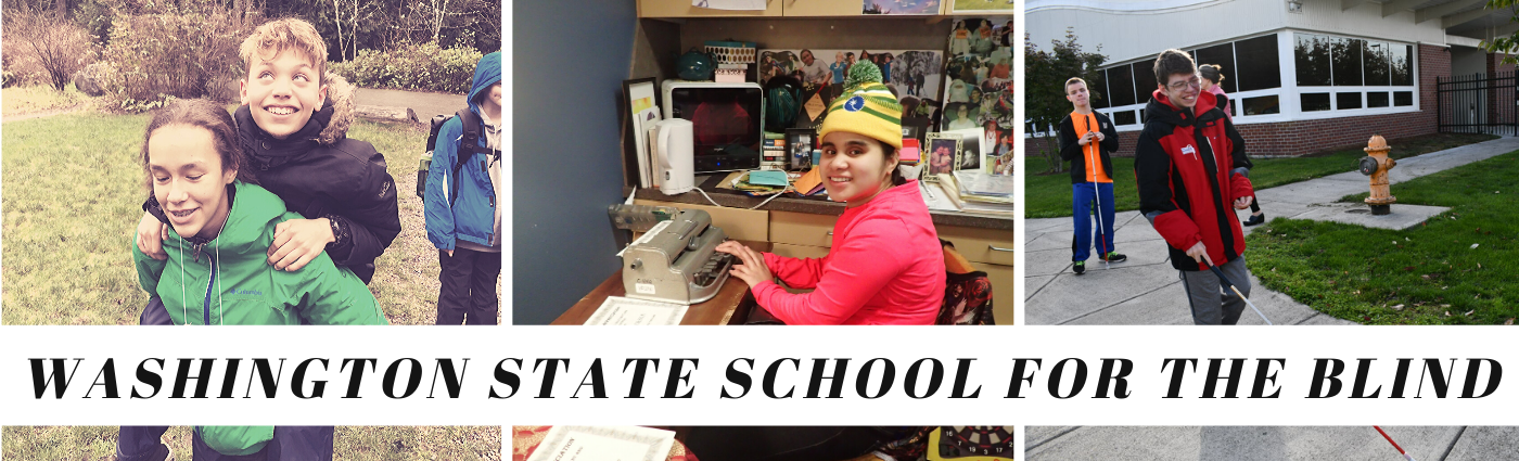 The core purpose of WSSB is to empower blind and low vision individuals to reach their full potential